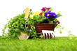 Photo: Gardening objects on a lawn and white background Gardening objects on a lawn and white background