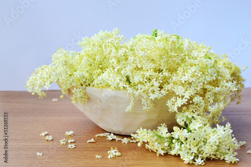 Photo: Elderflower Elderflower