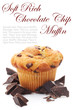Soft Rich Chocolate Chip Muffin