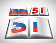 National Flag concept of Slovenia