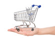 Empty shopping cart for sale on open hand