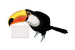 Toucan with plate