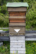 Bienenkiste - Front