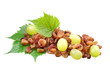 Raisins and grapes with leaves