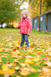 Adorable little girl enjoying beautiful fall day
