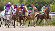 Horse racing at the hippodrome in Pyatigorsk.