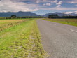 New Zealand landscape