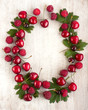 canvas print picture - frame with rich summer berry