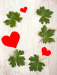 canvas print picture - frame with green leafs and red hearts