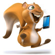 Fun squirrel