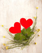canvas print picture - Two  hearts in the nest with plants and leafs