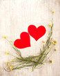canvas print picture - Two  hearts in the nest