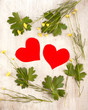 Two  hearts in the summer frame