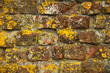 Lichens and brick