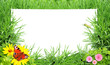 Green grass