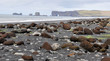Stones at the black beach