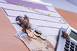 Urlaubs_Planung