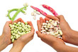 organic string beans on white background