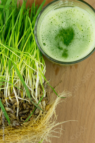 Photo: Green Organic Wheat Grass Juice ready to drink Green Organic Wheat Grass Juice ready to drink