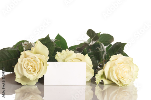 Photo: Rose Rose