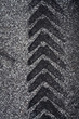 Tire Track on Asphalt
