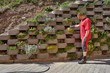 man, gardener relies flowers in retaining concrete wall