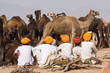 Photo: Pushkar Camel Mela. Rajasthan, India. Pushkar Camel Mela. Rajasthan, India.