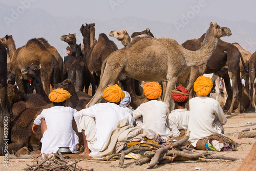 Photo: Pushkar Camel Mela. Rajasthan, India. Pushkar Camel Mela. Rajasthan, India.