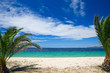 Photo: beach beach