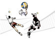 Vector: volleyball trio volleyball trio