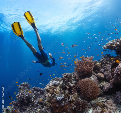 Photo: Freediver Freediver