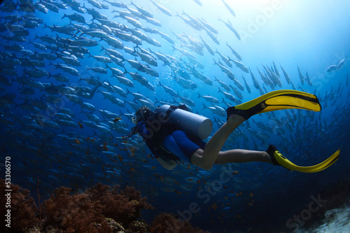Photo: Diver Diver