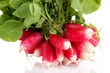 Small garden radish with leaves isolated on white