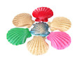 Colorful seashells, isolated on white
