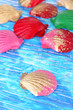 Colorful seashells on bright background