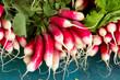 Photo: Radieschen Radieschen
