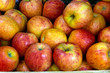 Photo: Apfel - Hintergrund Apfel - Hintergrund