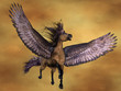 Illustration: Gruella Pegasus Gruella Pegasus