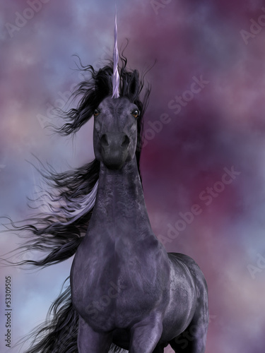 Illustration: Black Unicorn Black Unicorn
