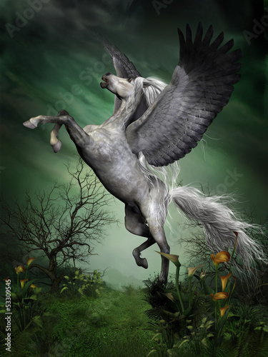Illustration: Dapple Grey Pegasus Dapple Grey Pegasus