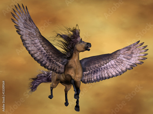 Illustration: Gruella Pegasus Gruella Pegasus