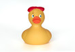 Yellow duck on a white background
