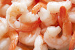 Shrimp