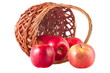 sweet red fruit ripe apples in the basket