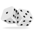 Two white dice
