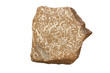 Oil shale