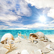 Gute Reise: Sonne, Strand, Muscheln und Seesterne
