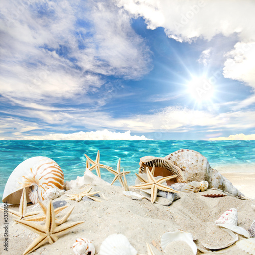Photo: Gute Reise: Sonne, Strand, Muscheln und Seesterne Gute Reise: Sonne, Strand, Muscheln und Seesterne