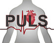 Puls Herz Medizin Hintergrund