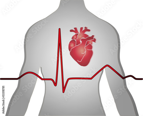 Vector: Heart EKG, medical Background Heart EKG, medical Background